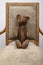 shabby teddy bear sitting in an old vintage armchair