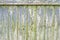 Shabby texture curve light green fence