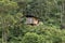 Shack in the jungle in Ecuador