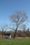 Shack and Tree in Field