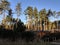 Shacks fronts, trees and sky at Woburn Center Parcs