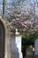 Shade of cross on old marble tombstones over springtime magnolia