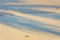 The shade of a palm tree on a tropical beach in the Caribbean Sea in Mexico.