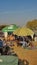 Shade tents at a wine festival