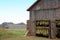 Shade Tobacco Drying in Barns