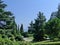 A shaded alley of the Park of the Livadia Palace. Sea view.  Walk in the Park.