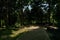 Shaded cobblestone path on slope in sunny summer