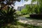 Shaded curving footpath at lakeside before storied apartment in