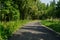 Shaded curving path in sunny summer morning