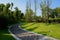 Shaded curving pavement in lawn on sunny summer day