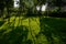 Shaded grassy slope before storied apartments in sunny summer mo