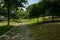 Shaded grassy and weedy cobble path in trees of sunny summer morning