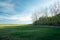 Shaded green meadow near the forest, horizon and blue sky