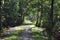 Shaded Path at Bird Rookery