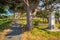 Shaded path through th cemetery of St. Tudno`s Church, Llandudno, Wales