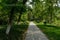 Shaded path in woods on sunny summer day