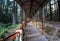 Shaded Pathway to Tarkeshwar Mahadev Temple: Lansdowne\\\'s Sacred Shiva Shrine, Uttarakhand, India