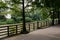 Shaded riverside footpath in sunny summer