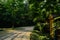 Shaded slopy pavement in sunny summer morning