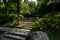 Shaded stairway in plants and trees of sunny summer morning