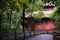 Shaded stone stairway near ancient Chinese building in summer af