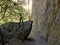 Shaded Trail Through Whitewater Canyon