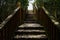 Shaded wooden stairway in sunny summer afternoon