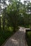 Shaded Wooden Walkway in Barataria Preserve Louisiana