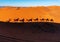Shades of Camel caravan on sand dunes in Sahara desert, Morocco