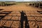 Shadow of an aberdeen angus rancher and livestock in the background