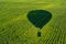 The shadow of a balloon flying over the fields of young corn