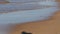 Shadow of a bird on the sand of a beach