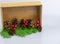 A shadow box with pine cones on greenery