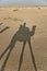 Shadow of a camel with tourist on a sand dunes, Thar desert