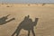 Shadow of a camel with tourist on a sand dunes, Thar desert