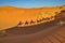 Shadow of Camels in Merzouga desert