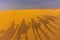 Shadow of camels riding in the Sahara Desert, Merzouga, Morocco