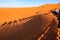 Shadow of a caravan of camels with tourist in the desert at suns