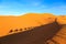 Shadow of a caravan of camels with tourist in the desert at suns