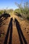 Shadow of a couple holding hands as they hike a trail