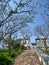 Shadow of fragrant flowers and trees on foot path on hilltops of Phra Nakhon Khiri