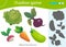 Shadow Game for kids. Match the right shadow. Color image of vegetables. Cabbage, carrot, beet, radish, zucchini. Worksheet vector