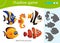 Shadow Game for kids. Match the right shadow. Color images of aquarium fishes. Clownfish, guppy, angelfish, seahorse. Worksheet