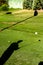 Shadow of a golf player on the grass