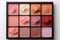 Shadow makeup palette, women's makeup.