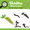 Shadow matching game Caterpillar crawling on the branch animal cartoon character vector illustration