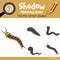 Shadow matching game Cute Centipede animal cartoon character vector illustration