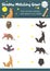 Shadow matching game nocturnal animal