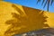 The shadow of a palm tree on a bright yellow wall on a sunny summer day. A symbol of heat, the opposite of light and shadow, good