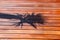 Shadow of palm tree leaves silhouette on ipe wood decking